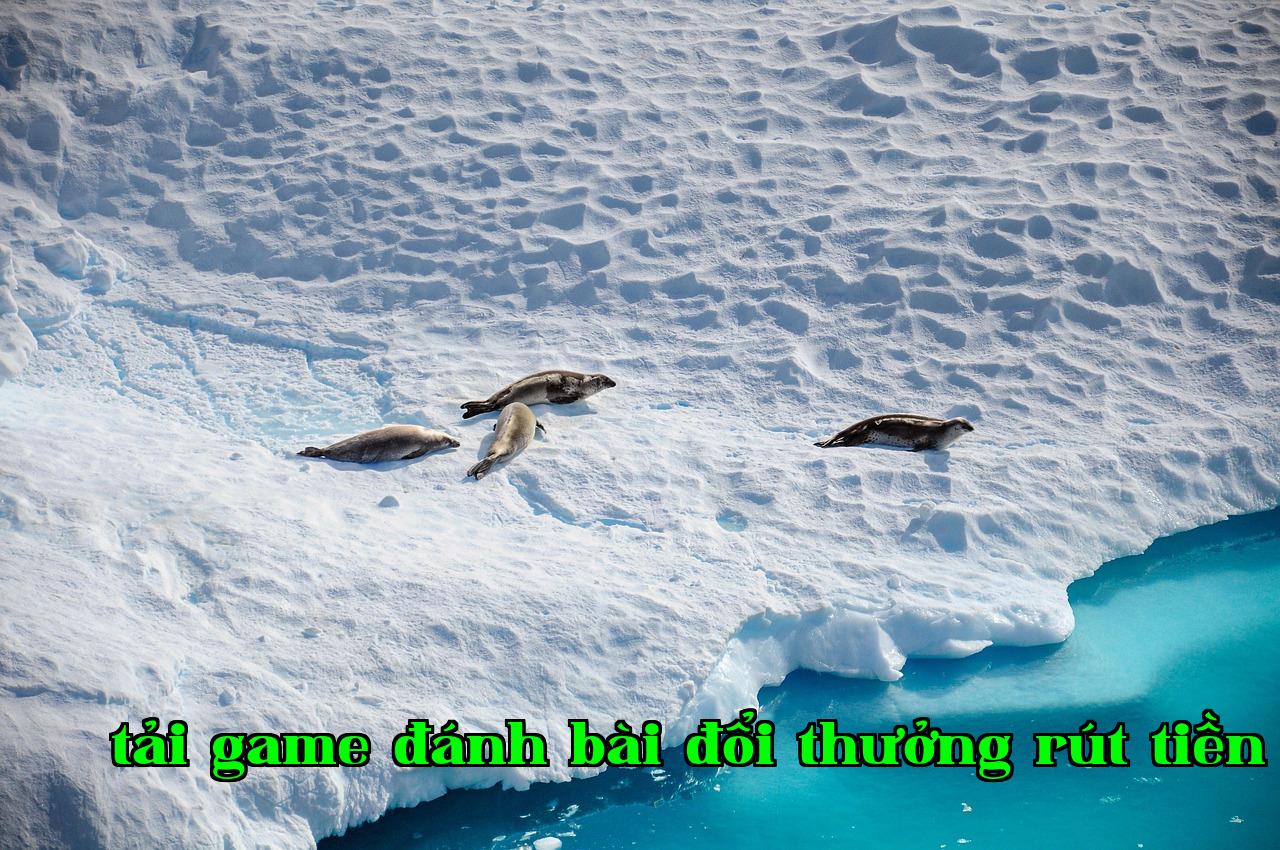 /imgposts/7ia8vki9.jpg