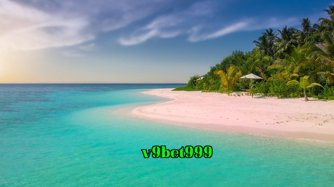 /imgposts/berj2odj.jpg